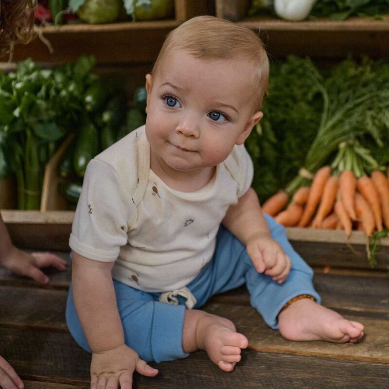 Nature Baby Short Sleeve Bodysuit image number 1